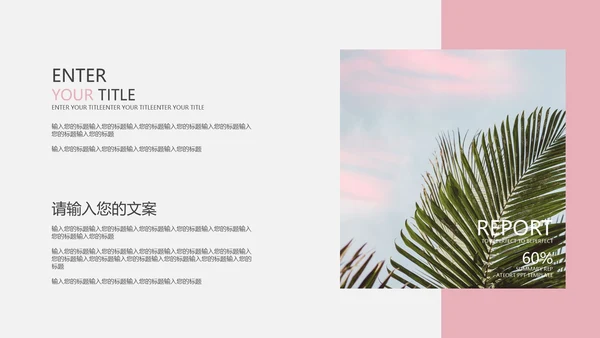 粉色椰风商业计划PPT模板