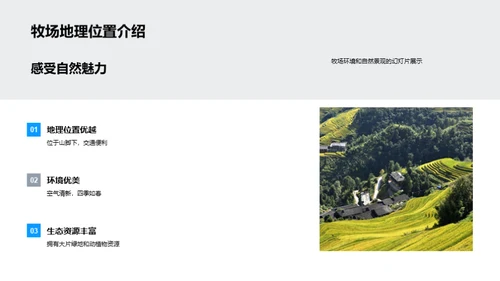 七夕浪漫牧场之旅
