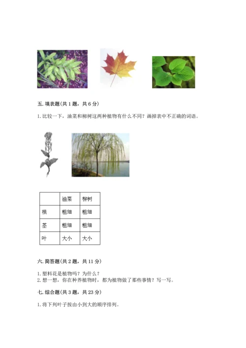 教科版科学一年级上册第一单元《植物》测试卷带答案（综合卷）.docx