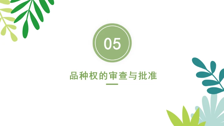 普法全文学习2025年4月新修订《中华人民共和国植物新品种保护条例》PPT课件