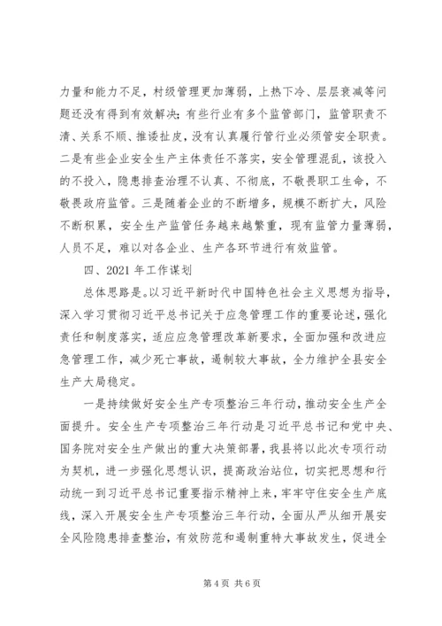 应急管理局XX年工作总结及XX年工作计划.docx