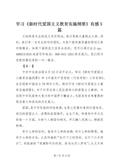 学习《新时代爱国主义教育实施纲要》有感5篇 (2).docx