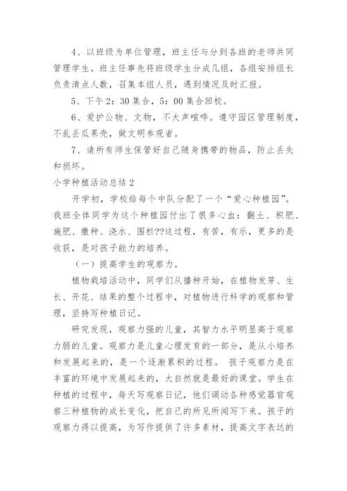 小学种植活动总结.docx