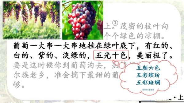11 葡萄沟   公开课   课件