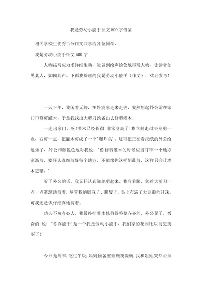 我是劳动小能手征文500字