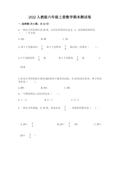 2022人教版六年级上册数学期末测试卷（各地真题）word版.docx