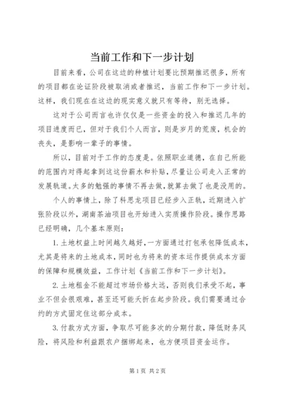 当前工作和下一步计划.docx