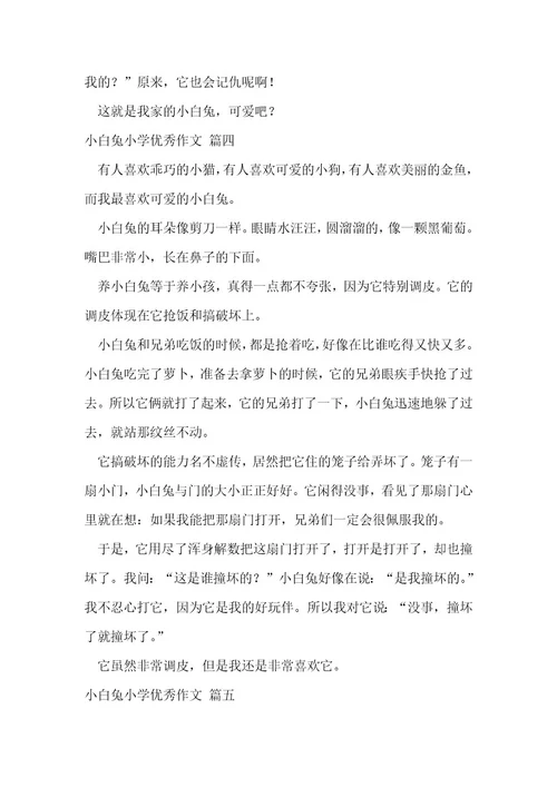 小白兔小学优秀作文7篇