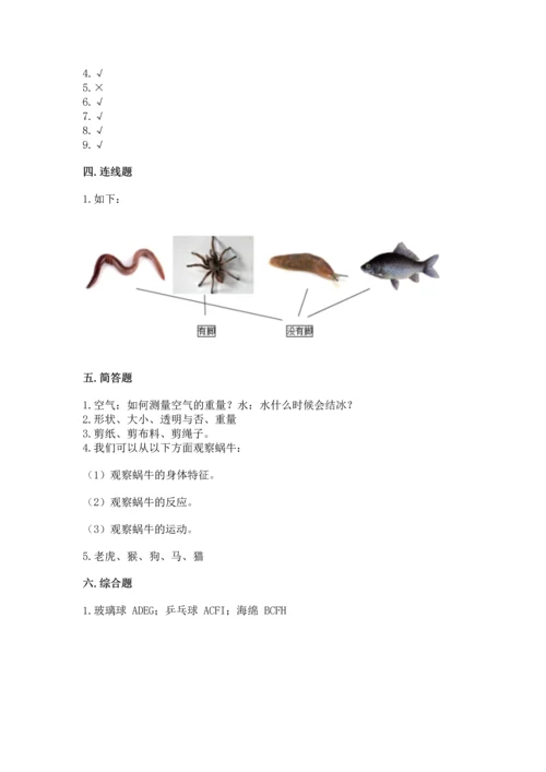 教科版一年级下册科学期末测试卷含完整答案【易错题】.docx