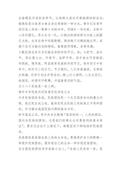 铸牢中华民族共同体意识优秀征文10篇.docx