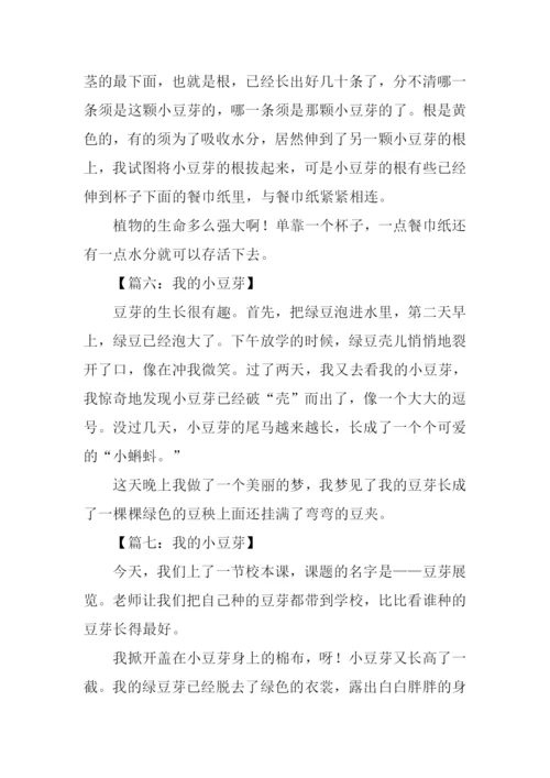 我的小豆芽作文.docx