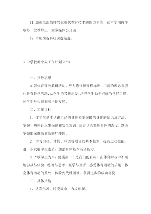 中学教师个人工作计划2023.docx