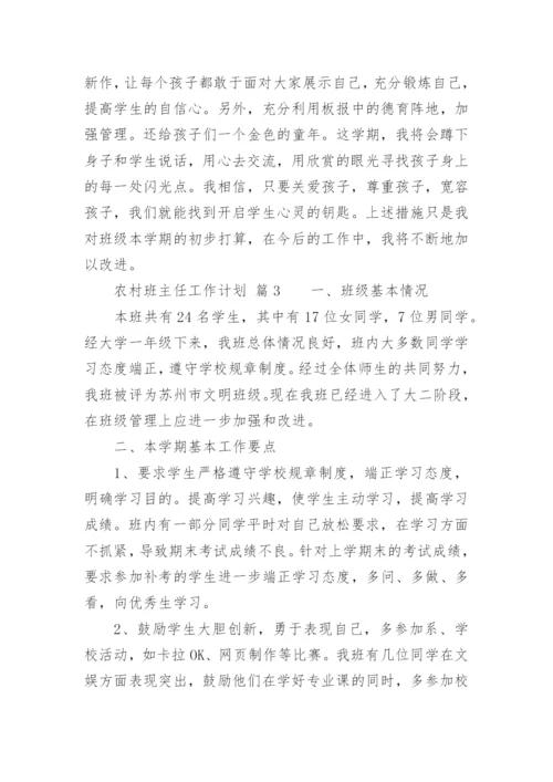 农村班主任工作计划.docx