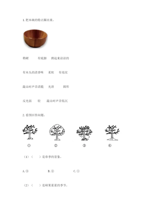 教科版小学二年级上册科学期末测试卷（突破训练）.docx