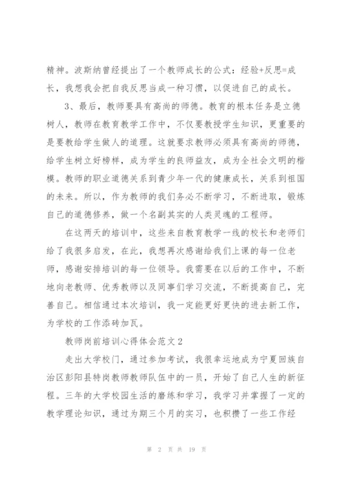 教师岗前培训心得体会范文.docx