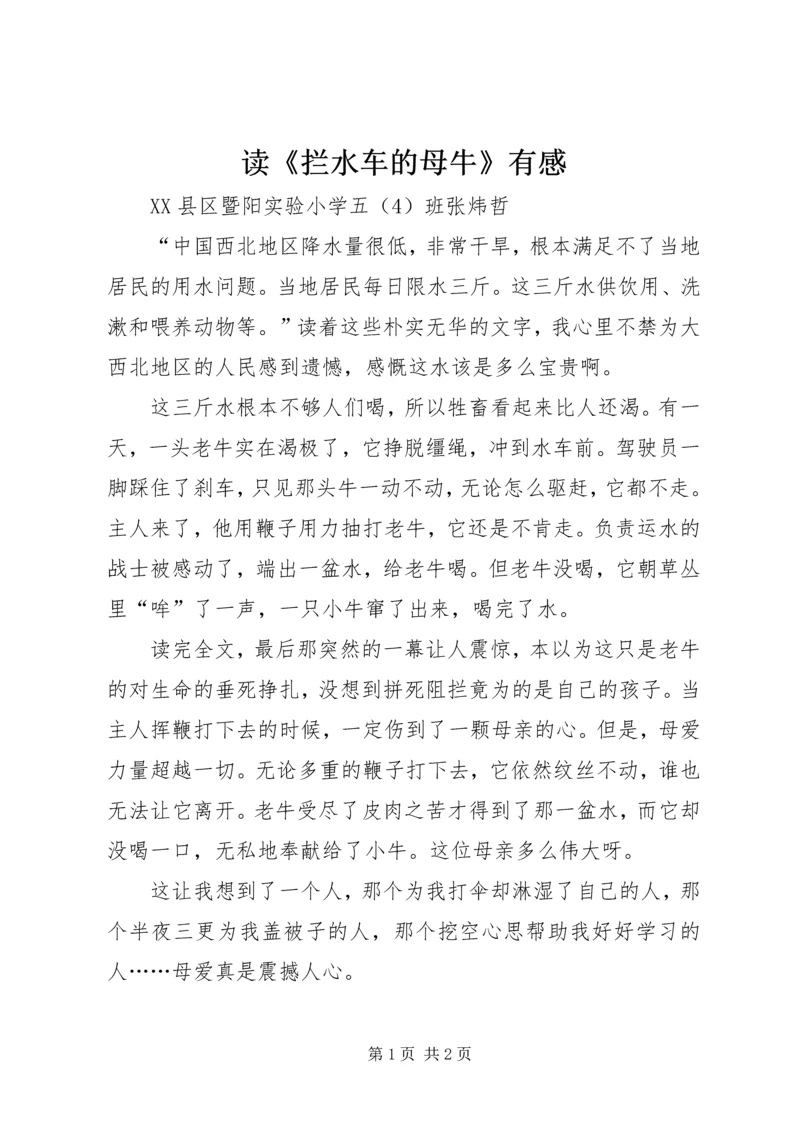 读《拦水车的母牛》有感.docx