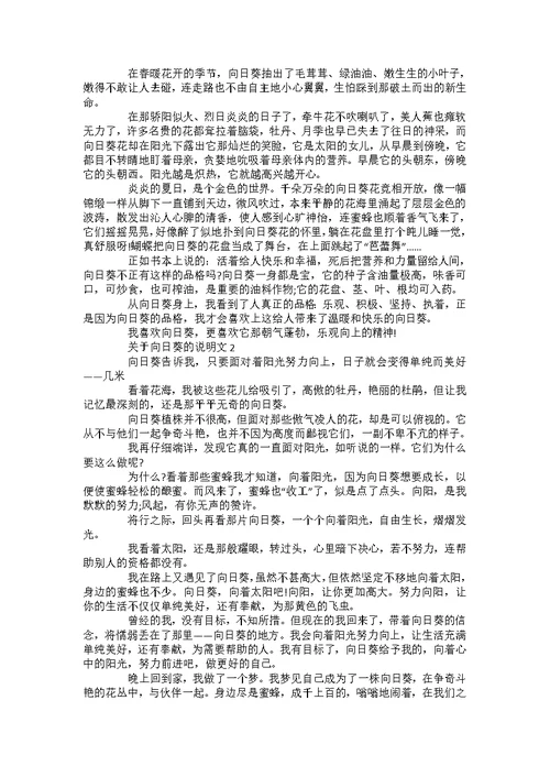 初二成长的代价作文700字优秀作文