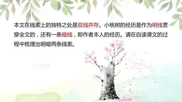 第19课 一棵小桃树 课件(共24张PPT)