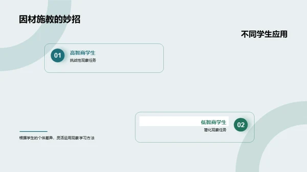 深化观察学习理解