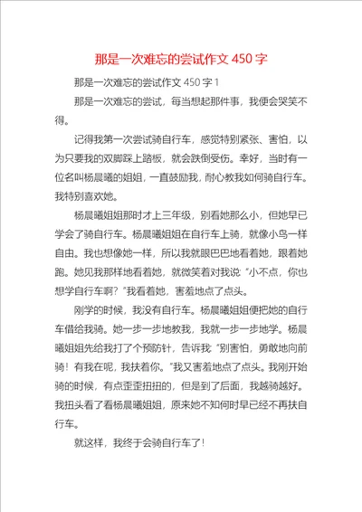那是一次难忘的尝试作文450字