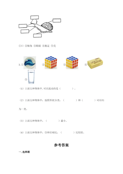 教科版一年级下册科学期末测试卷完整答案.docx