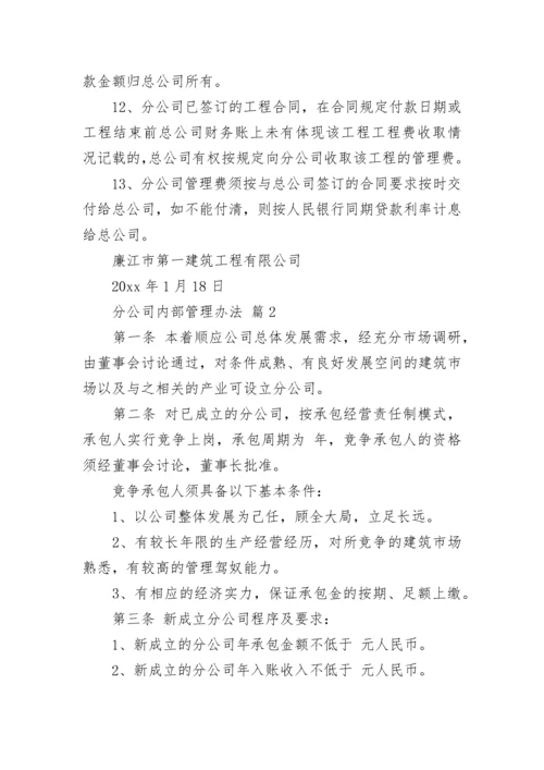 分公司内部管理办法_1.docx