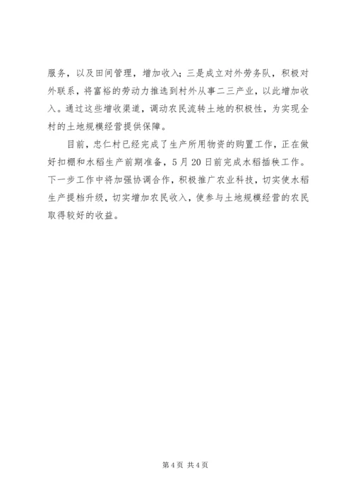 土地规模经营汇报 (2).docx