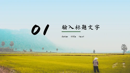 青年在家乡建设中的使命工作汇报PPT模板