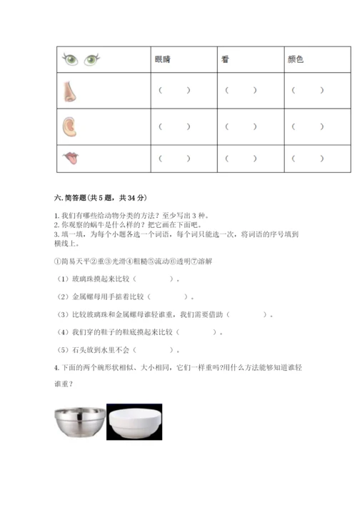 教科版一年级下册科学期末测试卷【考点精练】.docx