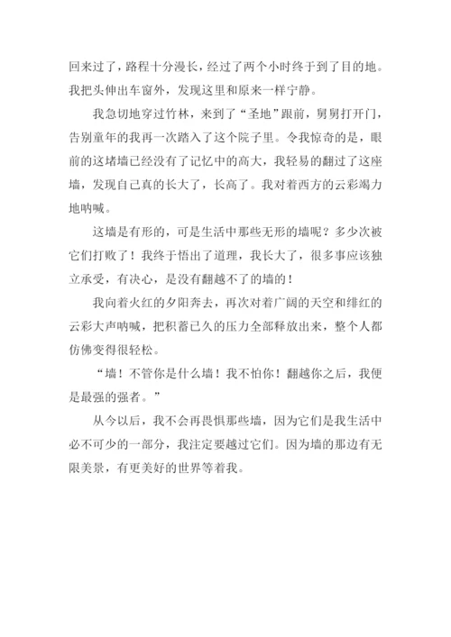 为了心中的墙作文800字.docx