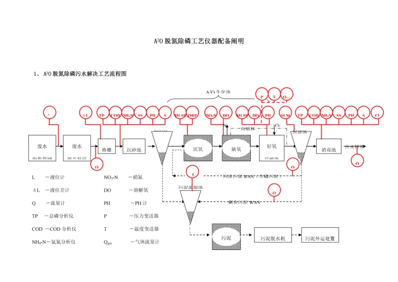 A二O脱氮除磷标准工艺仪器配置专题方案.docx