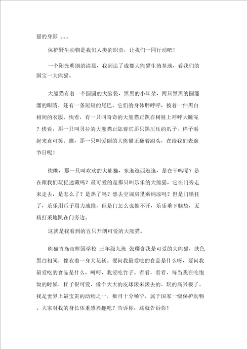 关于熊猫的作文合集15篇范文精选