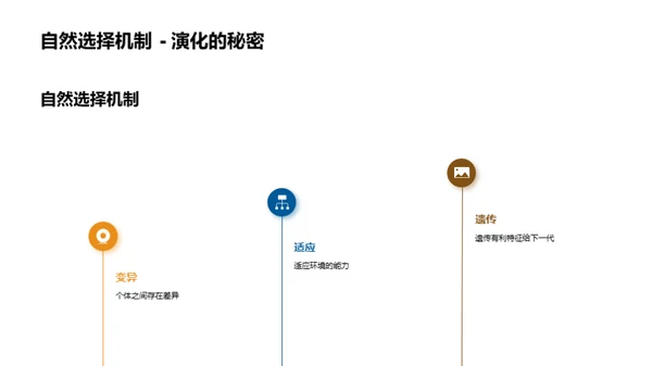 生物多样性的奥秘