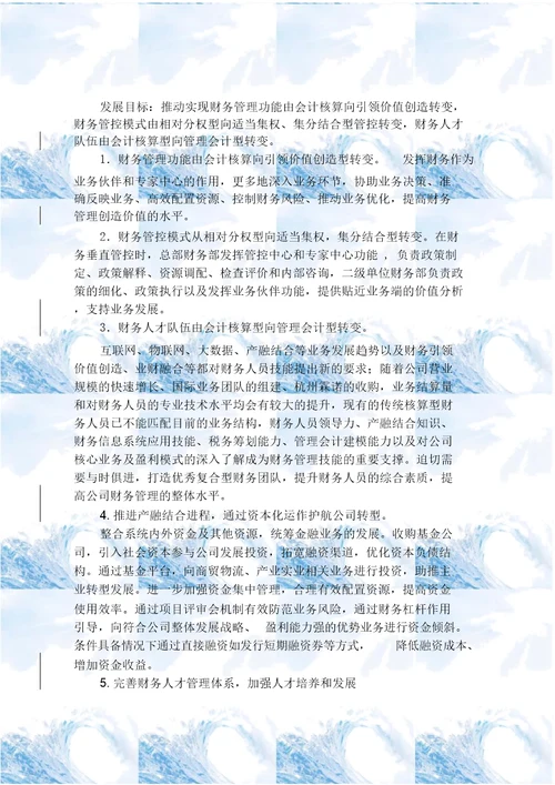 公司财务战略规划