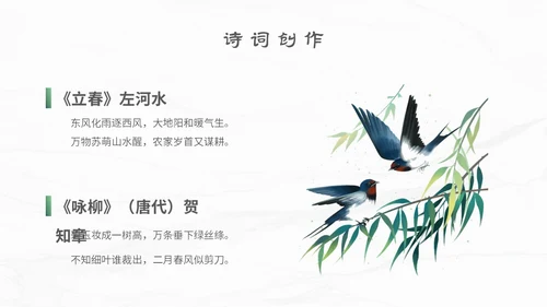 白色简约小清新传统二十四节气立春主题PPT模板