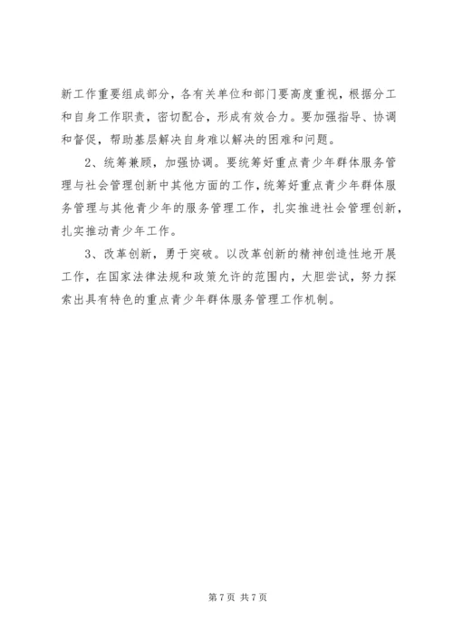 青年群体服务整体方案.docx