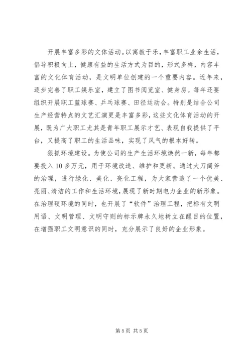 电力公司党委书记同志记功材料(1).docx