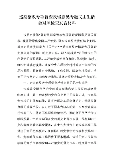 巡察整改专项督查反馈意见专题民主生活会对照检查材料发言材料