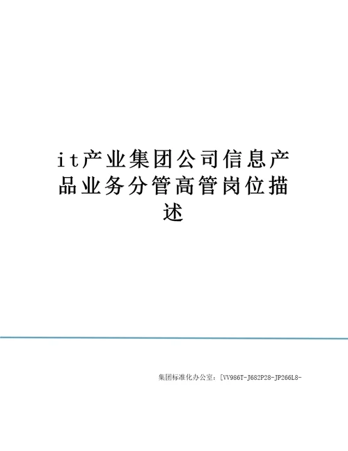 it产业集团公司信息产品业务分管高管岗位描述