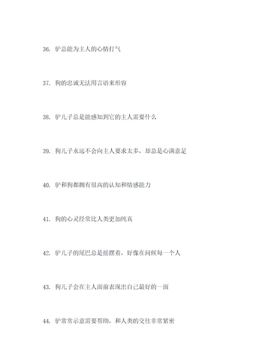 驴和狗的好词好句