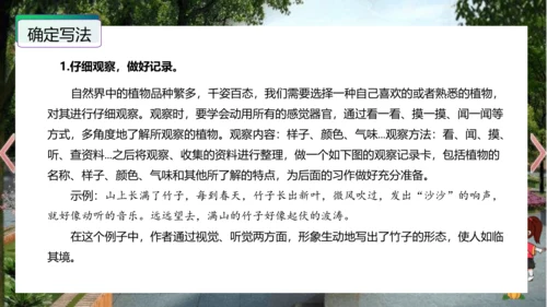 统编版三年级语文下册单元作文能力提升第一单元+习作：我的植物朋友（教学课件）