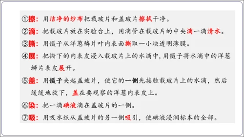 1.1&1.2 认识生物和细胞（复习课件）【2024人教新版七上生物高效完全备课】(共44张PPT)