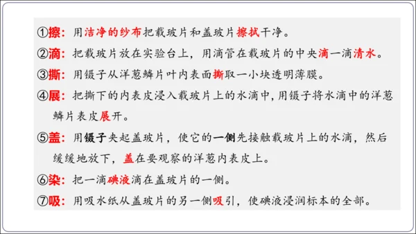 1.1&1.2 认识生物和细胞（复习课件）【2024人教新版七上生物高效完全备课】(共44张PPT)