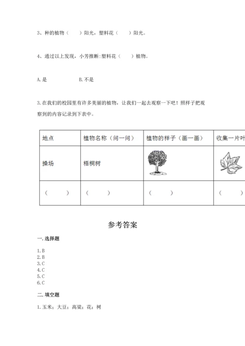 教科版科学一年级上册第一单元《植物》测试卷含答案【突破训练】.docx