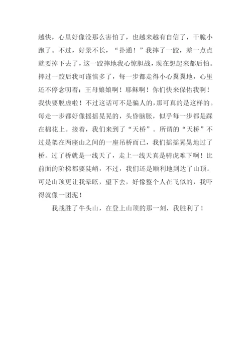游武义牛头山作文.docx