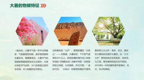 国风荷花二十四节气大暑教学PPT课件