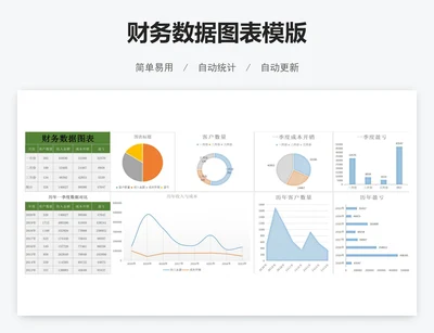 财务数据图表模版