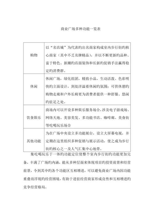 商业广场专项项目产品专题策划案.docx