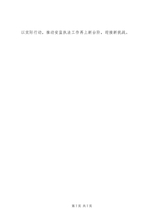 执法大队半年工作总结和计划_1.docx