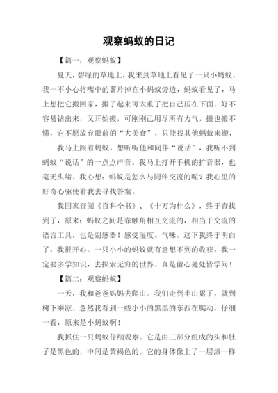 观察蚂蚁的日记.docx